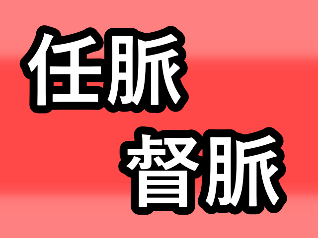 最も重要な経絡 任脈 と 督脈 なかがわ身体調整館